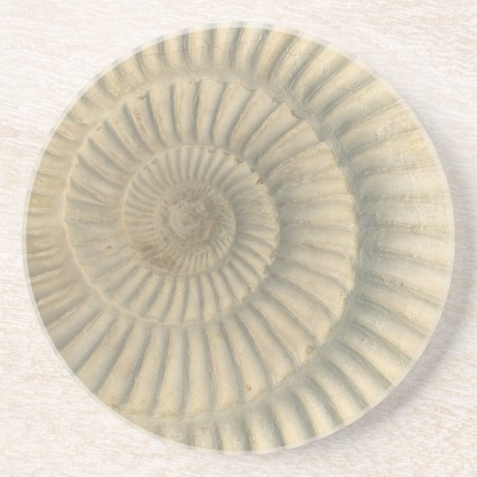 "Paleochic" Perisphincte Ammonite Trinket Tray Zandsteen Onderzetter (Voorkant)