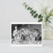 Paleontology Scientist Baby Dinosaur  Briefkaart (Staand voorkant)