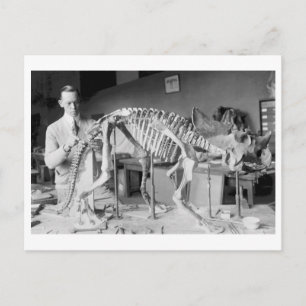 Paleontology Scientist Baby Dinosaur Briefkaart