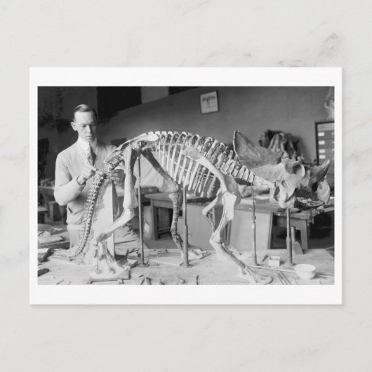 Paleontology Scientist Baby Dinosaur  Briefkaart (Voorkant)