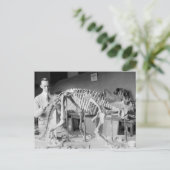 Paleontology Scientist Baby Dinosaur  Briefkaart (Staand voorkant)