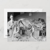 Paleontology Scientist Baby Dinosaur  Briefkaart (Voorkant / Achterkant)