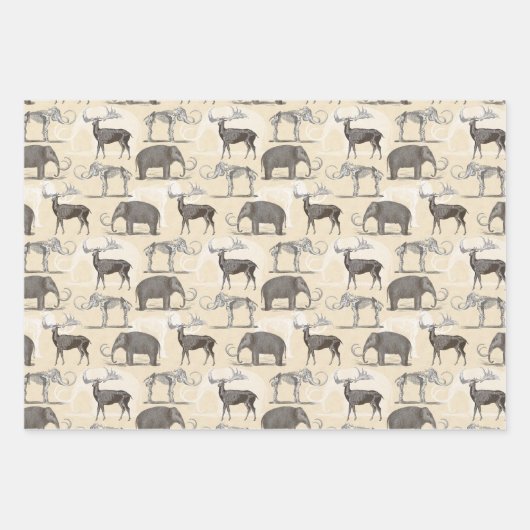 Paleontoloog Wooly Mammoth en Giant Irish Elk Inpakpapier Vel (Voorkant 2)