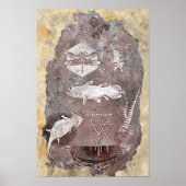 Paleozoïnetijdperk Poster (Voorkant)