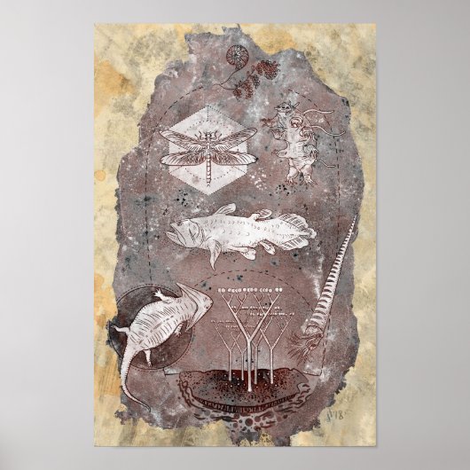 Paleozoïnetijdperk Poster (Voorkant)