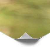 Palestijnse honingzuiger, Nationale vogel Wildlife Poster (Hoek)