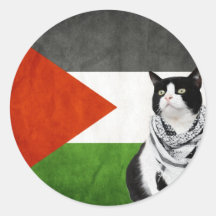 Palestijnse Kufiya met kat Palestijnse vlag