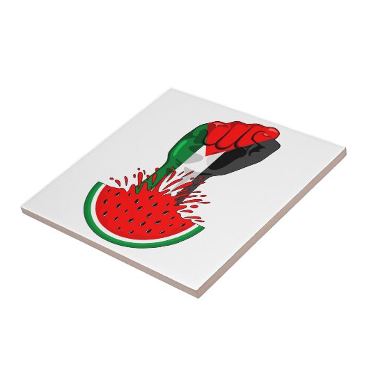 Palestijnse verzetsstrijders steken de kop op in W Tegeltje (Zijkant)