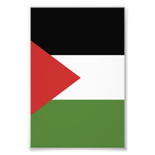 Palestijnse vlag foto afdruk