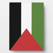 Palestijnse vlag fotoplaat (voorkant)