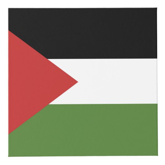 Palestijnse vlag kubus (Rechts)