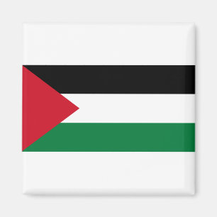 Palestijnse vlag magneet