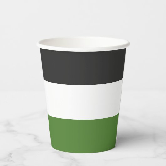 Palestijnse vlag papieren bekers (Achterkant)