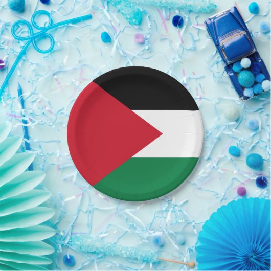 Palestijnse vlag papieren bordje (Feest)