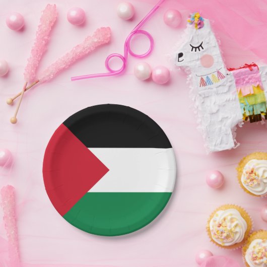 Palestijnse vlag papieren bordje (Feest)