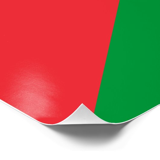 Palestijnse vlag perfect poster (Hoek)