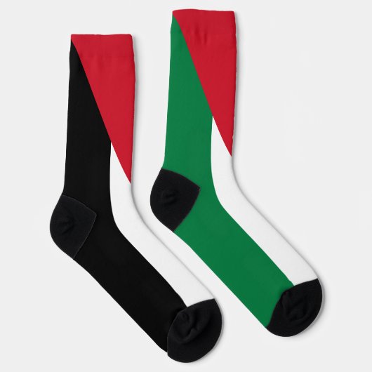 Palestijnse vlag sokken (Rechts)