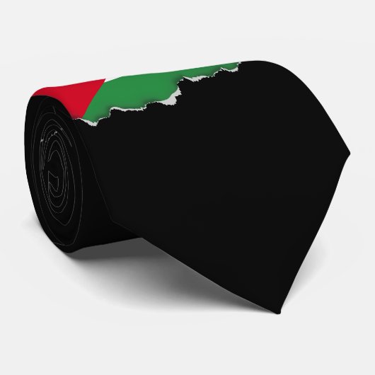 Palestijnse vlag stropdas (Opgerold)