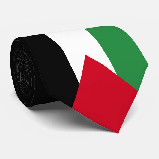 Palestijnse vlag stropdas (Opgerold)