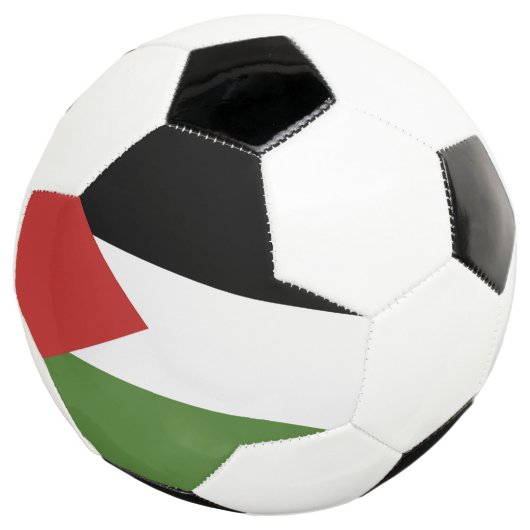 Palestijnse vlag voetbal (Drie kwart)