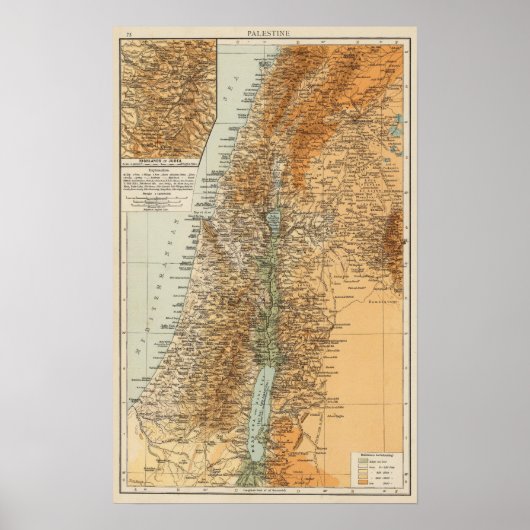 Palestina 4 poster (Voorkant)