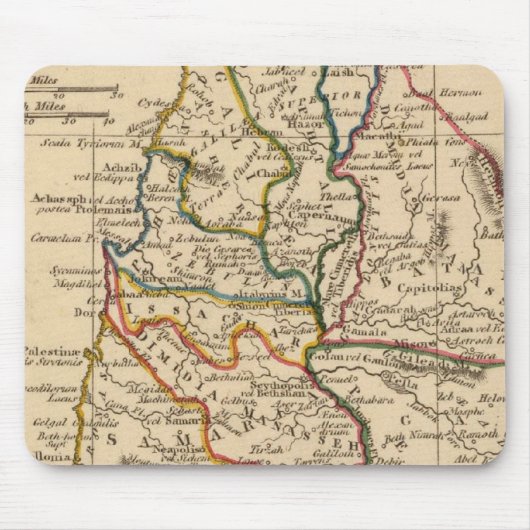 Palestina 5 muismat (Voorkant)