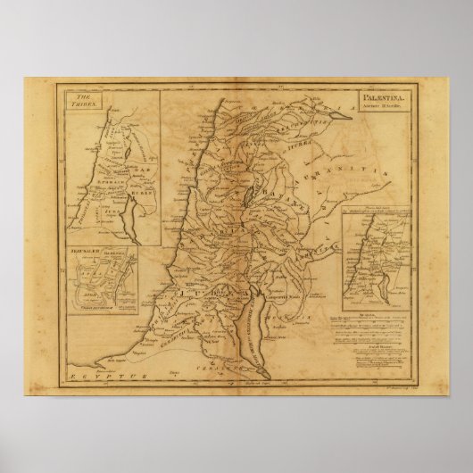 Palestina 5 poster (Voorkant)