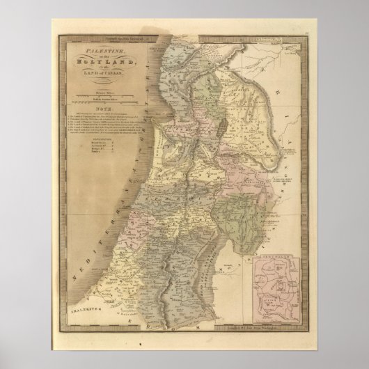 Palestina 5 poster (Voorkant)