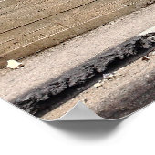 Palestina Apartheidsmuur Graffiti Poster (Hoek)