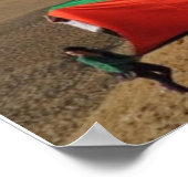 Palestina in Egypte Poster (Hoek)