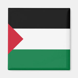 Palestina - Korte driehoek, Palau-vlag Magneet