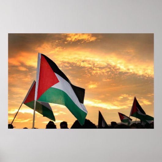 Palestina-Uitzicht Poster (Voorkant)