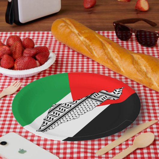 Palestina Vlag en Kaart met Keffiyeg Patroon Papieren Bordje (Picknick)