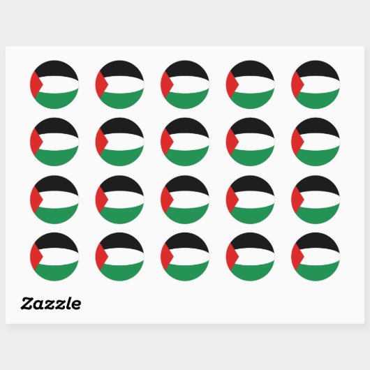 Palestine Fisheye Flag Sticker (Vel)