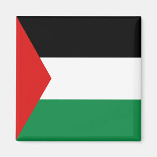 Palestine Flag Magnet