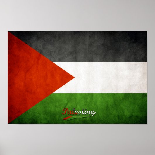 Palestine Grunge Poster (Voorkant)