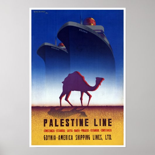Palestine Line Poster (Voorkant)