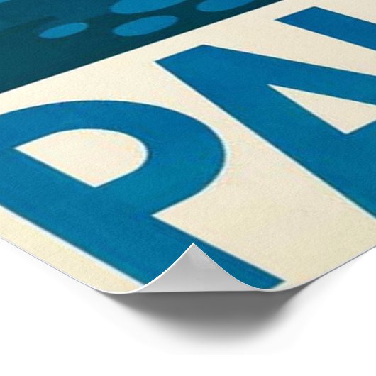 PALESTINE POSTER (Hoek)