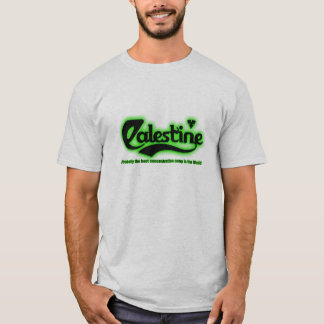 palestine waarschijnlijk t-shirt
