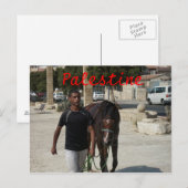 Palestinian Knight Briefkaart (Voorkant / Achterkant)