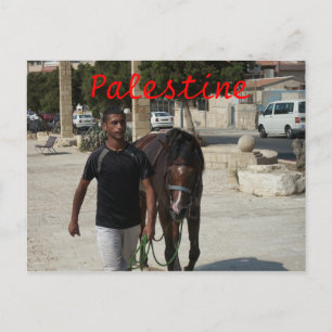 Palestinian Knight Briefkaart