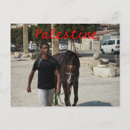 Palestinian Knight Briefkaart (Voorkant)