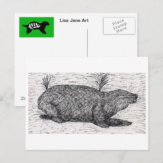 Palestinian Mole Rat Briefkaart (Voorkant / Achterkant)