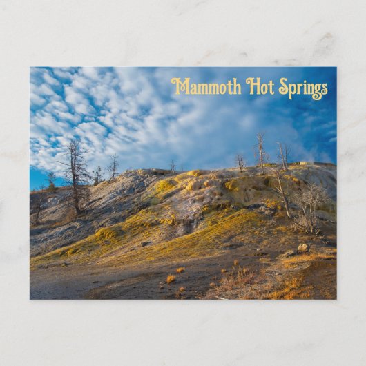 Palette Springs Sunrise Mammoth Hot Springs Briefkaart (Voorkant)