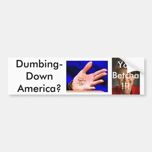 Palin3 Bumpersticker (Voorkant)