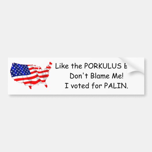 PALIN-Bumpersticker Bumpersticker (Voorkant)