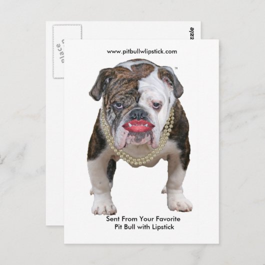 Palin Pit Bull met lippenstift Briefkaart (Voorkant / Achterkant)