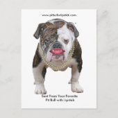 Palin Pit Bull met lippenstift Briefkaart (Voorkant)