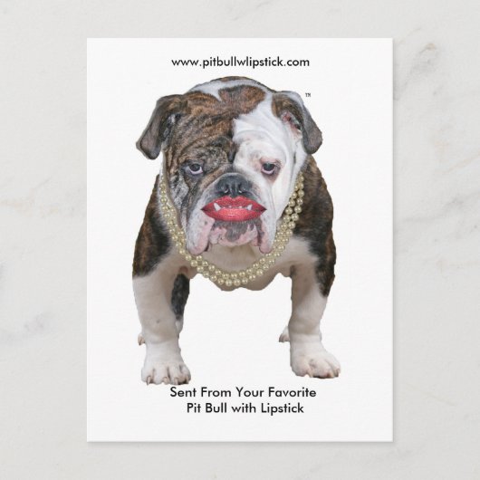 Palin Pit Bull met lippenstift Briefkaart (Voorkant)