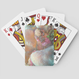 Paling Pokerkaarten